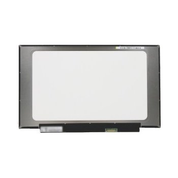 Display Lenovo THINKPAD T495 20NJ0013MX Displej LCD 14“ 30pin eDP FULL HD LED SlimTB - Matný