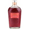 TOISON REMESELNÝ GIN RUBY RED 38 % 0,7 l (čistá fľaša)