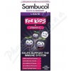 SAMBUCOL Pro Děti + vitamin C Sirup 120 ml