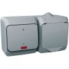 Zásuvka 2P+T/16A/250V + spínac (2So) 16AX/250V (SS) IP44 sivá Cedar Plus (Schneider)