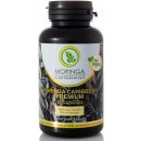 Moringa Caribbean PREMIUM 120 kapsúl