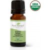 Plant Therapy Organic Respir Aid (Podpora dýchania) 10 ml