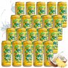 NEPERLIVÁ KOKOSOVÁ VODA COCONAUT 320 ML PRÍRODNÁ S ANANÁSOVOU ŠŤAVOU
