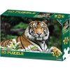 3D puzzle tiger, 100 dielikov