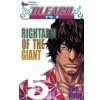 Bleach 5: Right Arm of the Giant - Kubo Tite