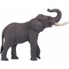 Mojo Slon Africký s chobotom hore