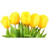 Foto obraz akrylový na stenu Žlté tulipány 100x50 cm