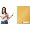 Leitz Triediace dosky Cosy A4 nepriehľadný PP 3 ks teplá žltá