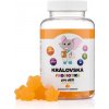 Kralovstvizdravi.cz Kráľovská Probiotika pre deti, komplex laktobacilov a bifidobaktérií s vitamínmi B3, B5, B6, 60 gumených cukríkov