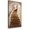 Vertikálny foto obraz na plátne Schody v zámku 50x100 cm