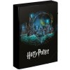 Baagl A4 Jumbo Harry Potter čierna