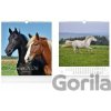 Nástěnný kalendář Horses 2026 - MFP