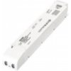 Spectrum WLD+91003