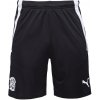 Pánske futbalové kraťasy Puma, TEAM LIGA TRAINING SHORTS Čierna,Biela S