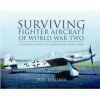 Surviving Fighter Aircraft of World War Two (Don Berliner)(Pevná)