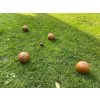 Petanque / Boccia PRO