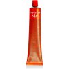 Inebrya Color Ash 100 ml farba 6/13 Dark Blonde Ash Golden