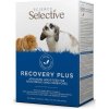 Supreme Science Recovery Plus 10x20 g