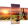 Obraz - víno a vinice pri západe slnka (Obraz 90x60cm)