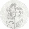 Komar Samolepiaca vliesová fototapeta Dot Barock Beauty pr. 125 cm