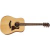 Taylor A10e