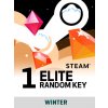 Winter Random 1 Key ELITE (PC) Steam Key 10000337634002