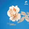 CD The True Loves: Sunday Afternoon DIGI