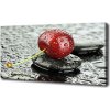 Foto obraz na plátne Čerešňa v daždi 100x50 cm