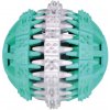 Trixie Denta Fun lopta s mätou zelená/biela 6 cm