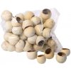Shimp Supplies Shrimp Supplies Bell cup 5-7cm