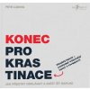 Konec prokrastinace (Petr Ludwig)