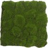 Globe moss green/brown, dielec 50 x 50 cm (Realistická imitácia machu - uzavretý penový raster)