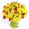 Kytica narcisy a tulipány