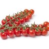 Paradajka Gourmelito F1 - Solanum lycopersicum - semená - 6 ks