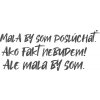 DTF nažehľovačka DTF transfer/nažehľovačka Mala by som poslúchať Rozmer: A6, Nažehľovačka-možnosti: CZ verzia