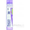 Magnesia Muriatica gra.1 x 4 g 30CH