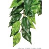 Hagen rostlina Ficus velká 70 cm