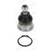 Zvislý/nosný čap MOOG hore, 44mm HO-BJ-10953 (HOBJ10953) EAN: 4044197664313