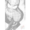 Vymalujsisam.sk Bodkovanie - Spiderman 2 Farba: Zelená, Veľkosť: 40x60cm, Rám: Na plastovej doske