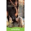 E-kniha Můj ohnivý kůň – Jízda v polární záři - Chantal Schreiber