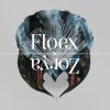 Floex: Zorya - Vinyl (LP)