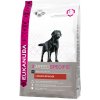 Eukanuba Labrador Retriever 2 x 12 kg