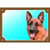 Dafiko Tabuľka nemecký ovčiak profil 1 ks