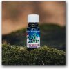 BUGALA Vonný olej Čučoriedka 10ml