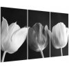 Čiernobiely obraz - tri tulipány (Obraz 120x80cm)