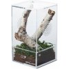 Repti-Zoo Easy Clean Acrylic Terrarium 10 x 10 x 20 cm