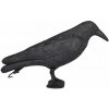 Záhradný plašič vtákov Havran