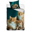 Posteľné obliečky Hrdzavé mačky