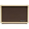 Blackstar Acoustic:Core 30
