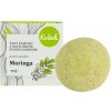 Tuhý Šampón s Kondicionérom – Moringa (proti LUPINÁM) 50g, Kvitok | Kvitok | Slovenský výrobca | 50 g